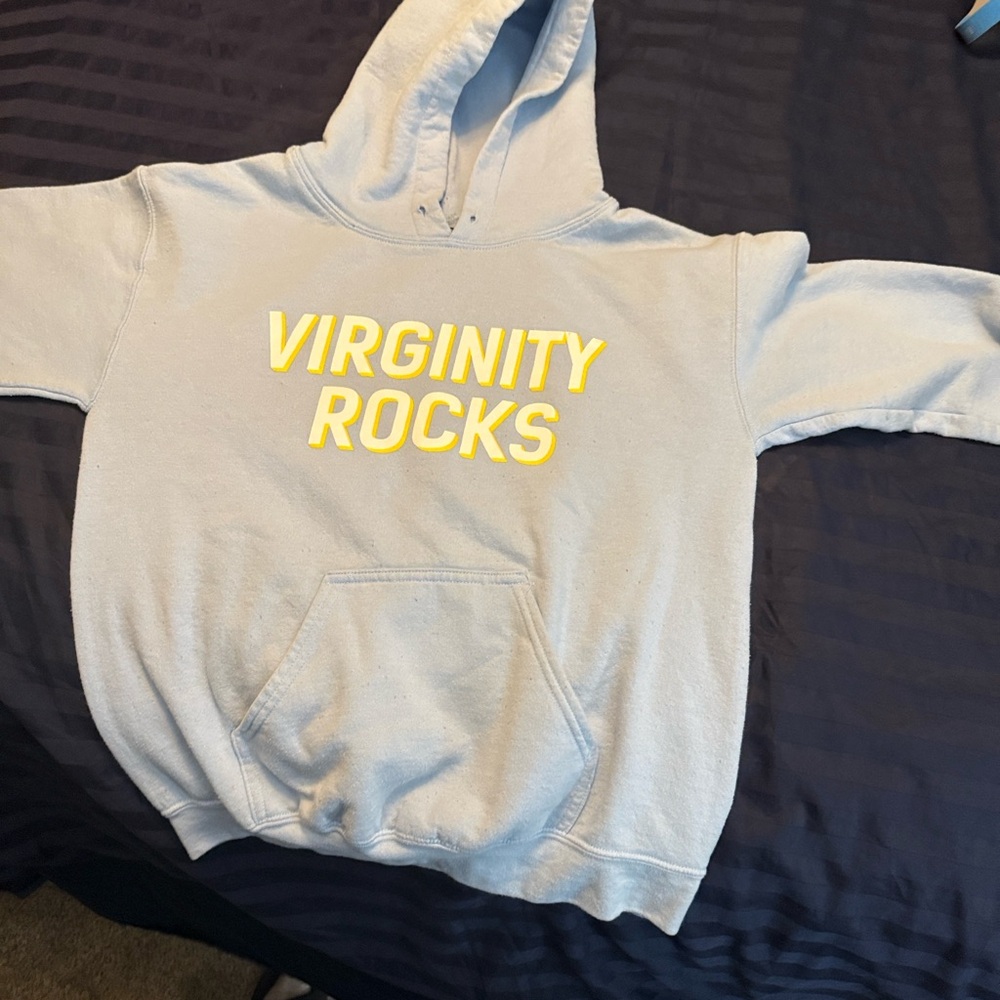 VIRGINITY ROCKS hoodie by Danny Duncan.